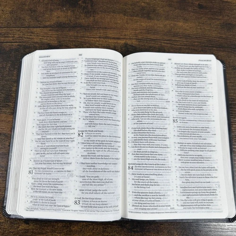 Ultra thin Bible ESV Celtic Cross Design Bibles Crossway